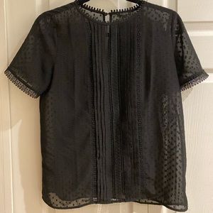 Ann Taylor Sheer Blouse